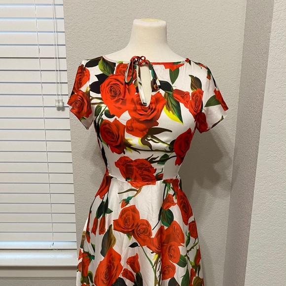 Unique Vintage Dresses & Skirts - Unique Vintage Rose Dress